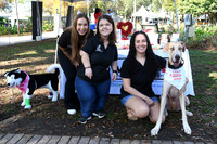 HSTC Mutt March 2026
