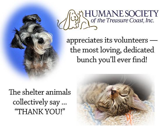 001 Volunteer appreciation 2018