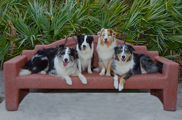 DSC_0888e