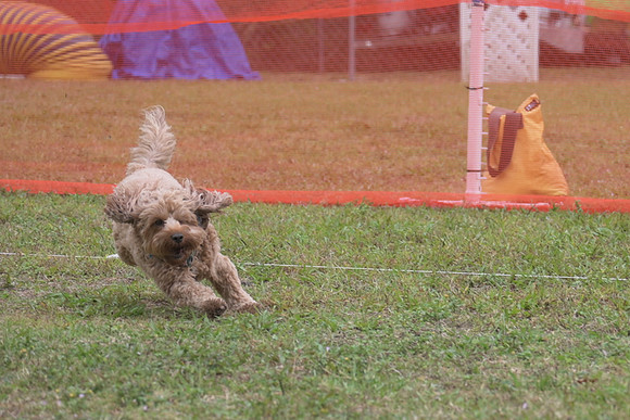 Z62_0458